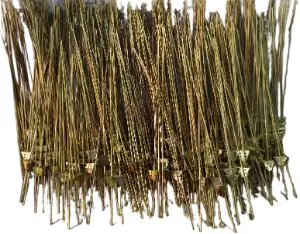 MS Trisul Road Heavy Duty